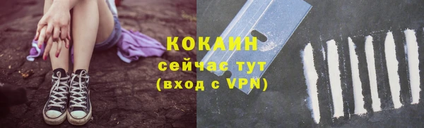 шишки Горно-Алтайск