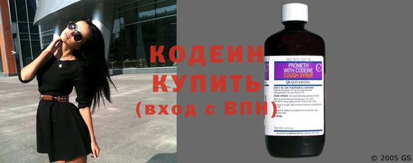 шишки Горно-Алтайск
