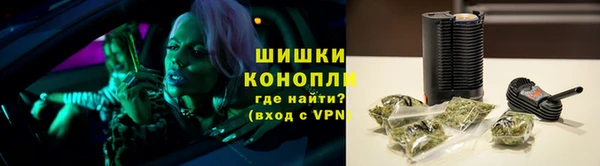 шишки Горно-Алтайск