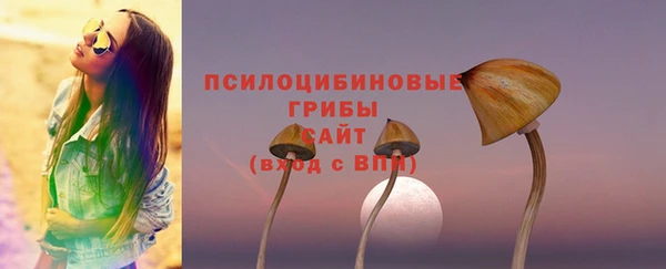 шишки Горно-Алтайск